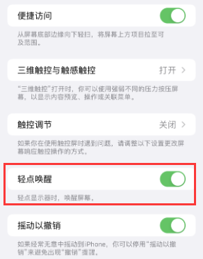 环翠苹果授权维修站分享iPhone轻点无法唤醒怎么办 