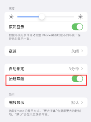 环翠苹果授权维修站分享iPhone轻点无法唤醒怎么办