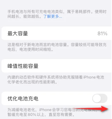 环翠苹果15维修分享iPhone15充电到80%就充不进电了怎么办 