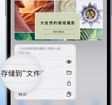 环翠apple维修中心分享iPhone文件应用中存储和找到下载文件