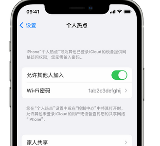 环翠apple服务站点分享iPhone上个人热点丢失了怎么办 