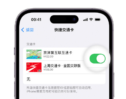 环翠apple维修点分享iPhone上更换Apple Pay快捷交通卡手绘卡面 