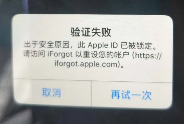 环翠iPhone维修分享iPhone上正常登录或使用AppleID怎么办 