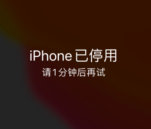 环翠苹果手机维修分享:iPhone 显示“不可用”或“已停用”怎么办？还能保留数据吗？ 