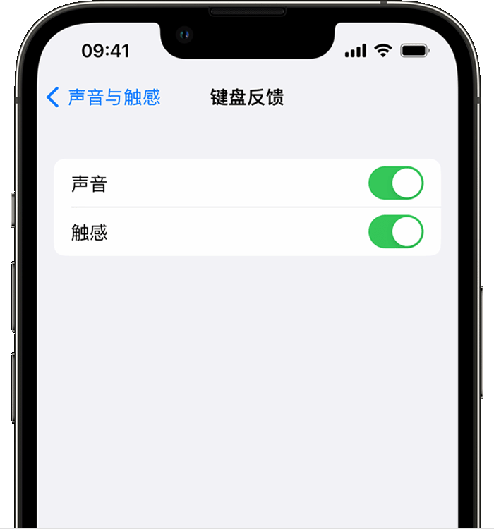 环翠苹果14维修店分享如何在 iPhone 14 机型中使用触感键盘 