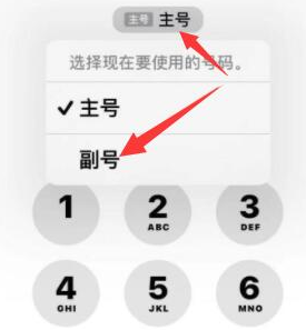 环翠苹果14维修店分享iPhone 14 Pro Max使用副卡打电话的方法 