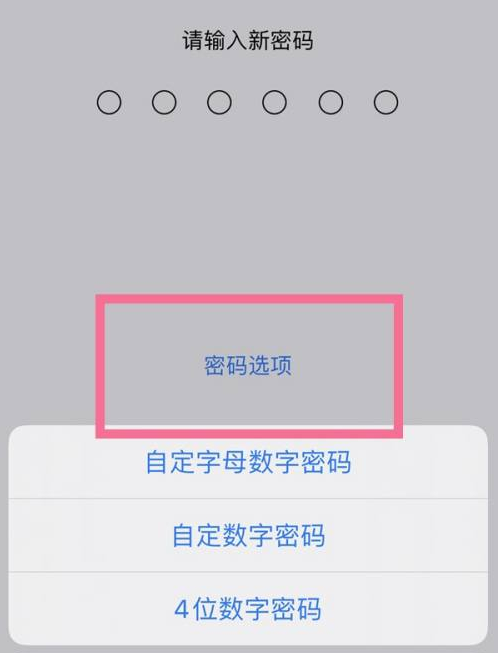 环翠苹果14维修分享iPhone 14plus设置密码的方法 