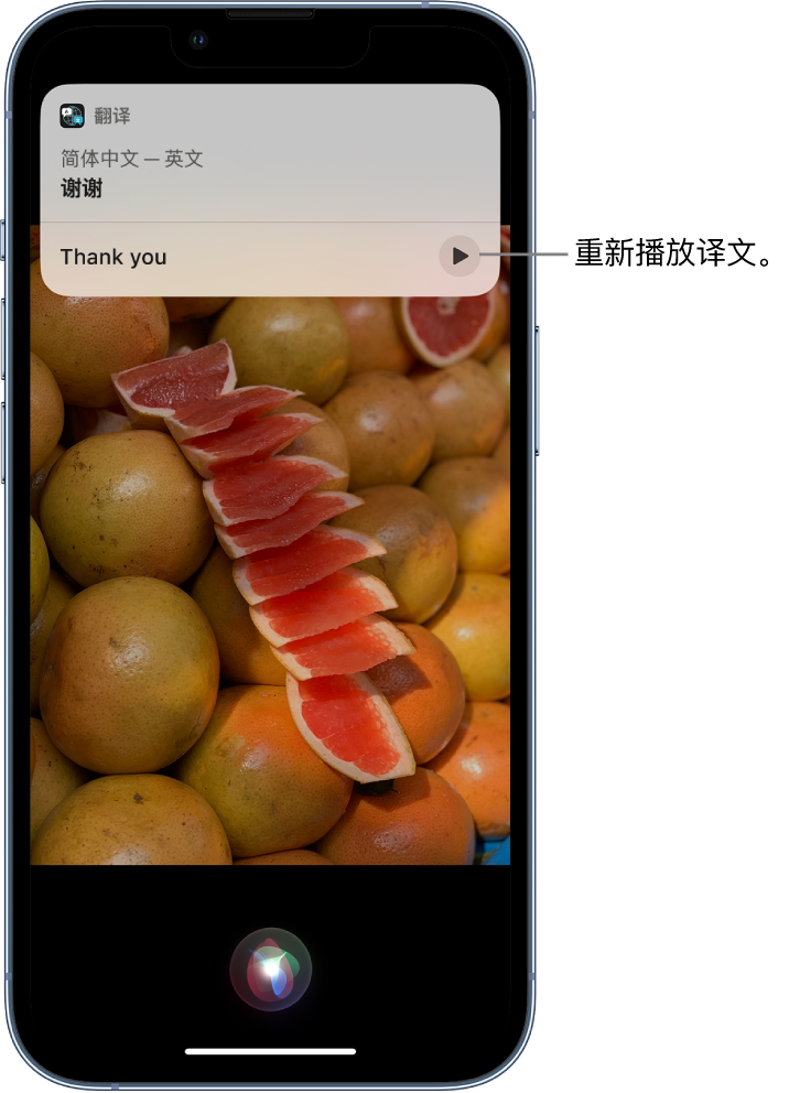 环翠苹果14维修分享 iPhone 14 机型中使用 Siri：了解 Siri 能帮你做什么 