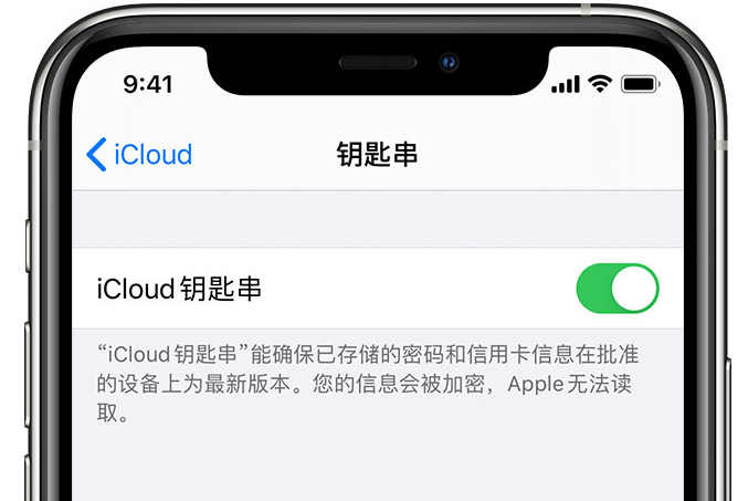 环翠苹果手机维修分享在 iPhone 上开启 iCloud 钥匙串之后会储存哪些信息 