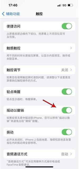 环翠苹果手机维修分享iPhone手机如何设置摇一摇删除文字 