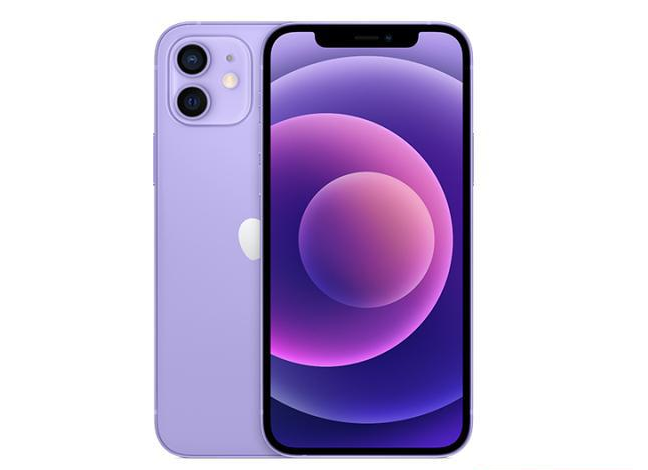 环翠苹果手机维修分享现阶段要不要入手紫色版iPhone12 