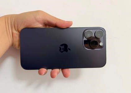 环翠苹果维修点分享iPhone 14 Pro Max黑屏少见故障盘点 
